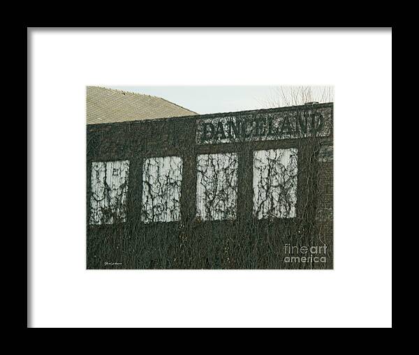Vine Framed Print featuring the photograph Vines Danceland by Yumi Johnson