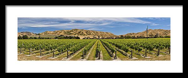 00439957 Framed Print featuring the photograph Vineyard In Lower Awatere Valley New by Colin Monteath