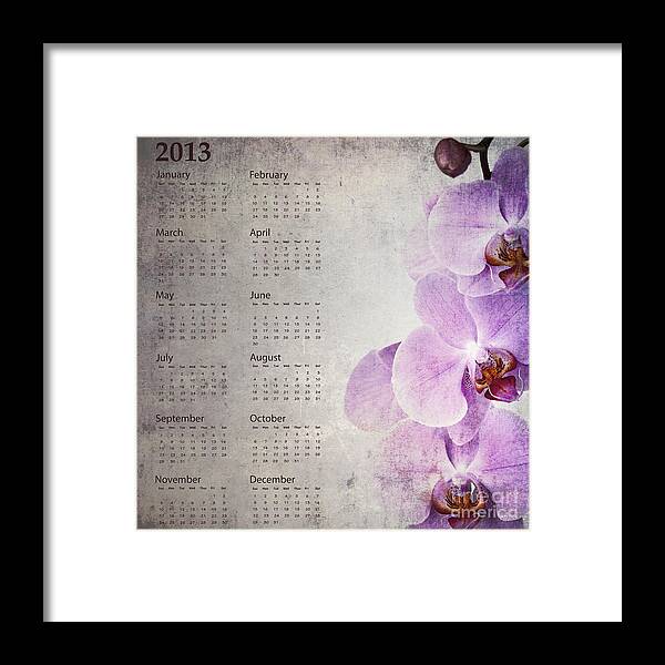 2013 Framed Print featuring the photograph Vintage orchid calendar 2013 by Jane Rix