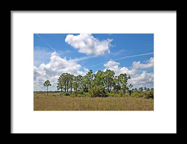 Everglades Framed Print featuring the photograph Wagonwheel Road 2 by Rudy Umans