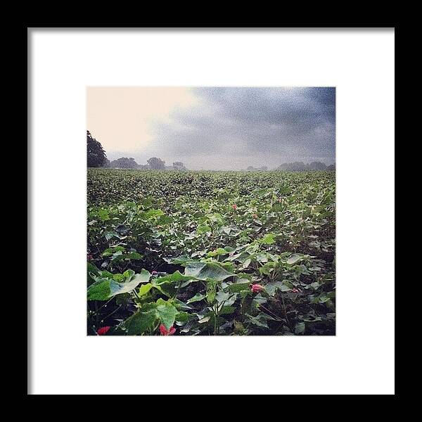 Instapsalm Framed Print featuring the photograph wait For The Lord; Be Strong, And Let by Derek Fannin