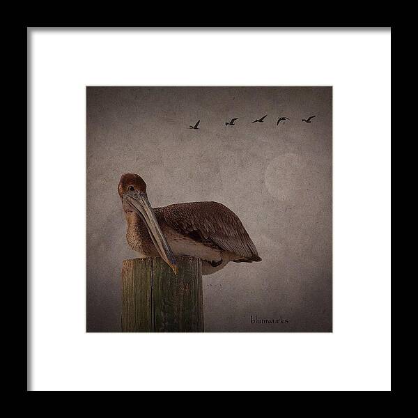 Blumwurks Framed Print featuring the photograph Waiting by Matthew Blum