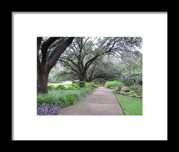 Fort Worth Botanical Gardens Framed Print featuring the photograph Walk Beside Me by Shawn Hughes