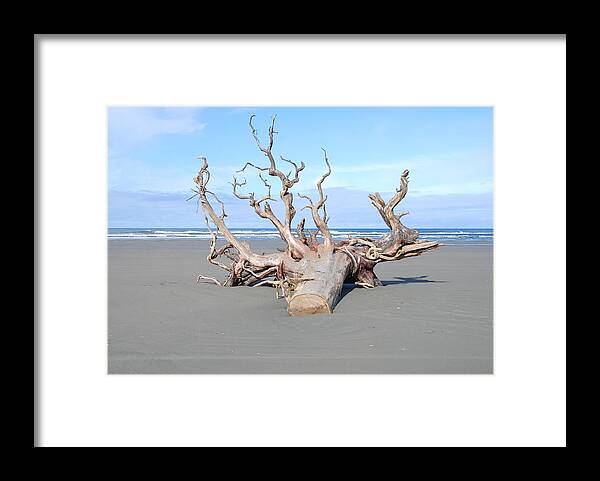 Beach Framed Print featuring the photograph Washed Up by Michael Merry