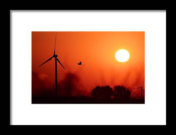 Landscape Framed Print featuring the photograph Watching the Sunrise by Elizabeth Budd