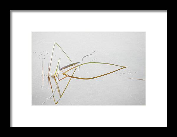 Minimalist Framed Print featuring the photograph Water Garden 1 by Bonnie Bruno