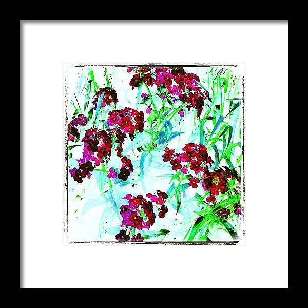 Mariannedow Framed Print featuring the photograph Watercolor Garden #android # by Marianne Dow