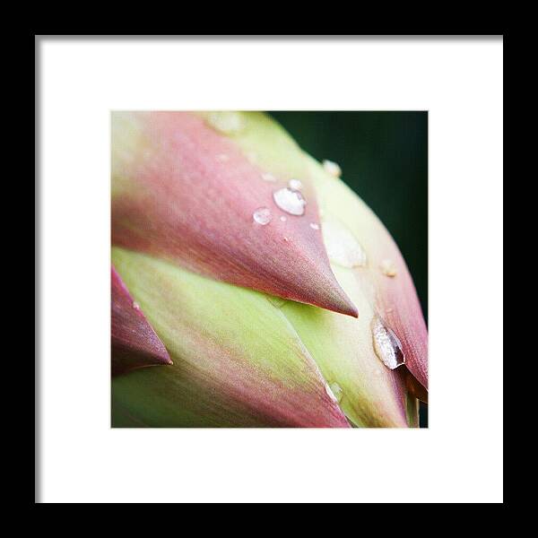 Beautiful Framed Print featuring the photograph #waterdrops #raindrops #droplets by Liz Grimbeek