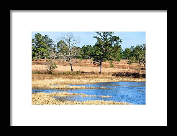 Landscapes Framed Print featuring the photograph Water's Edge by Jan Amiss Photography