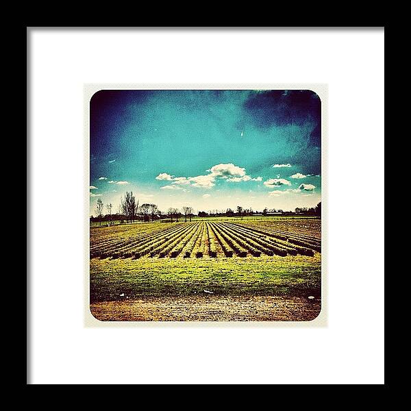 Instagram Framed Print featuring the photograph We Have Some Great Views In #venray ! by Wilbert Claessens