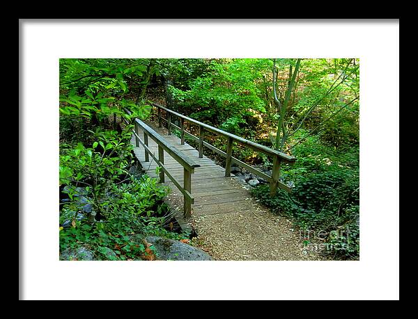 Serenity Scenes Photography Pacific Northwest Ashland Framed Print featuring the painting West Bridge by Shasta Eone