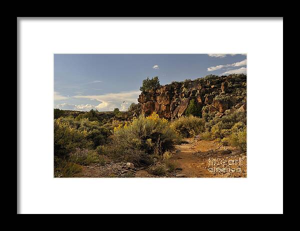 Landscape Framed Print featuring the photograph Westward Across The Mesa by Ron Cline