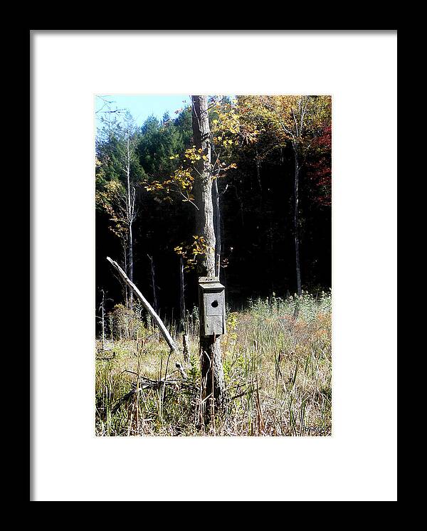 Wetland Framed Print featuring the photograph Wetlands In New England by Kim Galluzzo Wozniak
