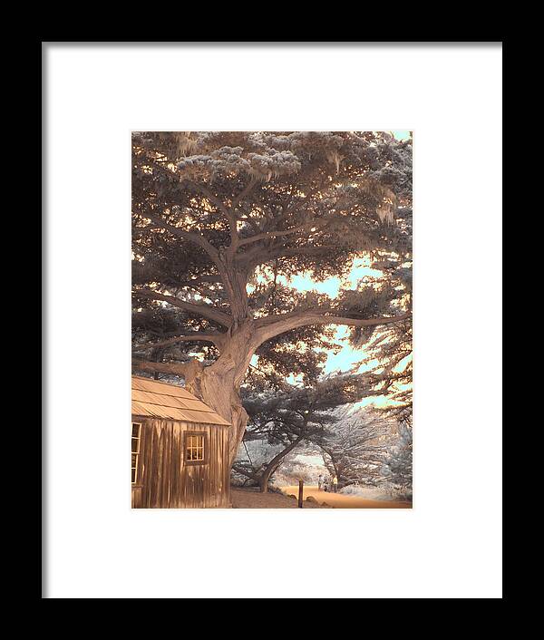 Whale Framed Print featuring the photograph Whaler's Cabin by Jane Linders