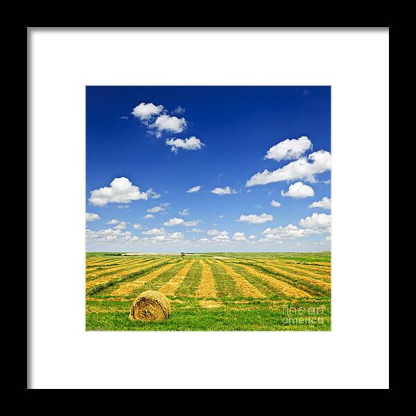 Agriculture Framed Print featuring the photograph Wheat farm field at harvest by Elena Elisseeva