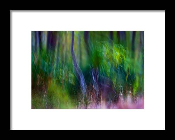 Abstract Framed Print featuring the photograph Whispers on the Wind by Michelle Wrighton