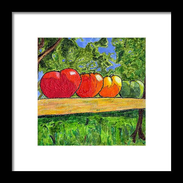 Tomatoes Framed Print featuring the painting White Heath Tomatoes by Phil Strang