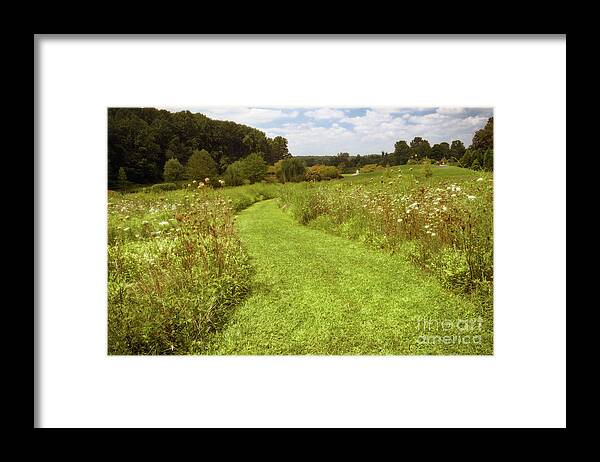 Garden Framed Print featuring the photograph Wildflower Field Morning by Susan Isakson