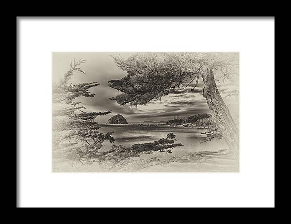 Morro Bay Framed Print featuring the photograph Windy Cove BW by Beth Sargent