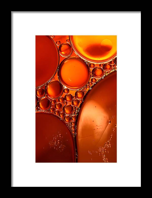 Oil Framed Print featuring the photograph Winter Abstract Collection III by Sharon Johnstone