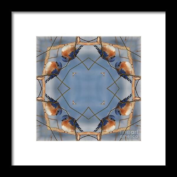 Kaleidoscope Framed Print featuring the digital art Winter Bluebird Kaleidoscope by Smilin Eyes Treasures
