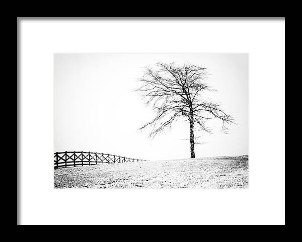 Black And White Landscape Photography Framed Print featuring the photograph Winter in Black and White by David Waldrop