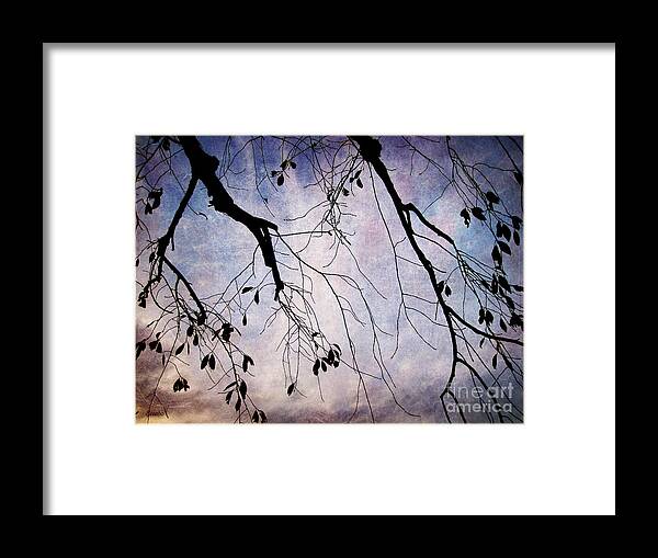 Branch Framed Print featuring the photograph Winter is Here by Eena Bo