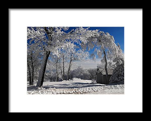 Winter Morning Framed Print featuring the photograph Winter Morning by Lois Bryan