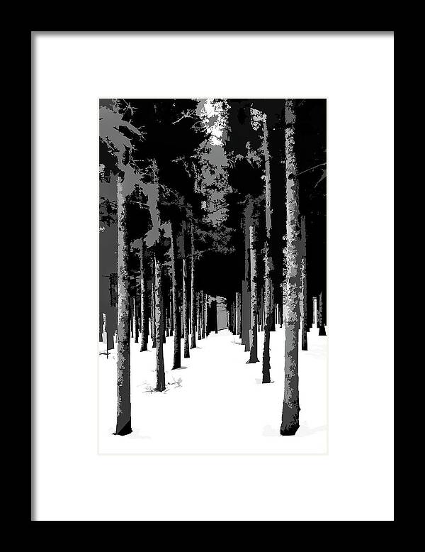 Trees Framed Print featuring the photograph Winter Path by Burney Lieberman