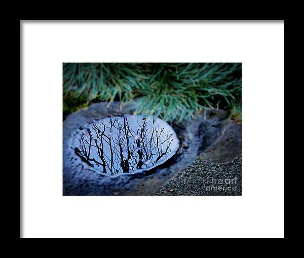 Nature Framed Print featuring the photograph Winter Reflections by Ellen Cotton