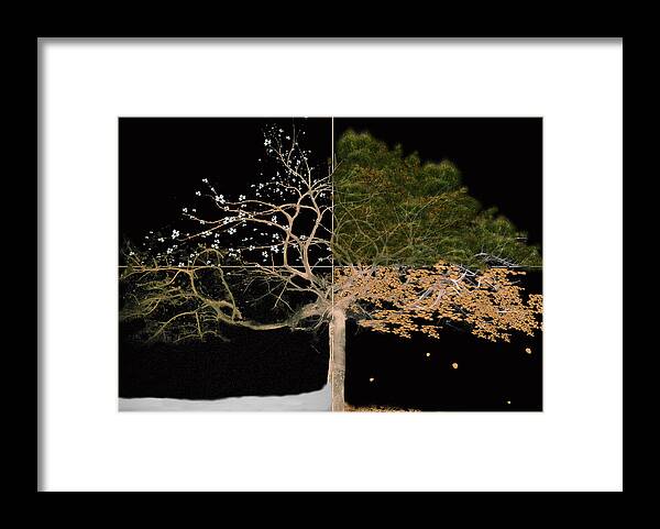 Tree Framed Print featuring the painting Winter Spring Summer and Fall by Gray Artus