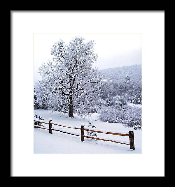 Tree Framed Print featuring the photograph Winter Tree and Fence in the Valley by Duane McCullough