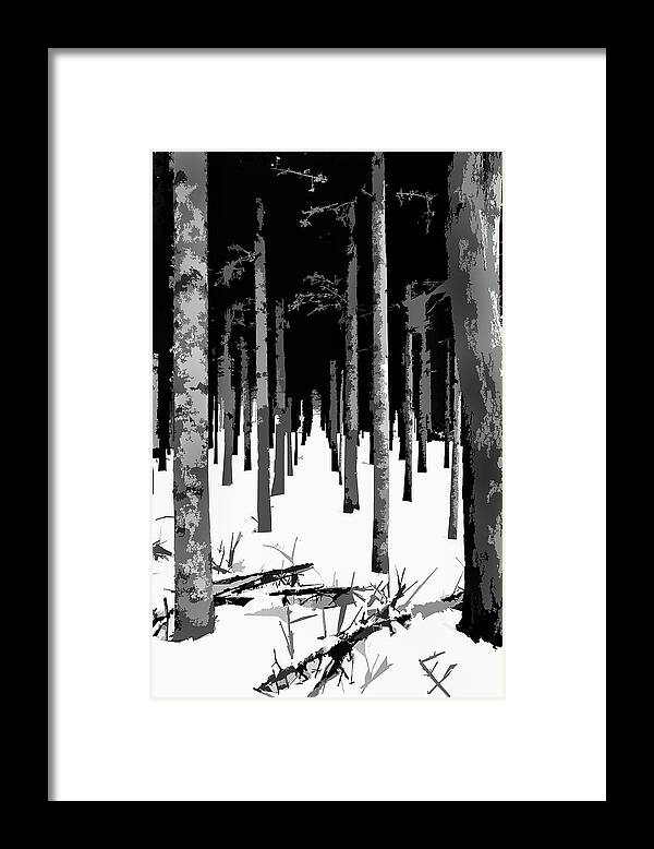 Winter Framed Print featuring the photograph Winter Wooded Path by Burney Lieberman