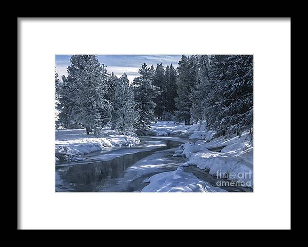 Winter Framed Print featuring the photograph Winter's Splendor by Sandra Bronstein