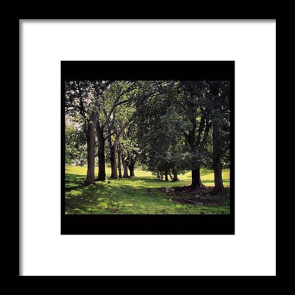 Beautiful Framed Print featuring the photograph Wooded Trail 
#tree #pathway #grass by Nick Cooper