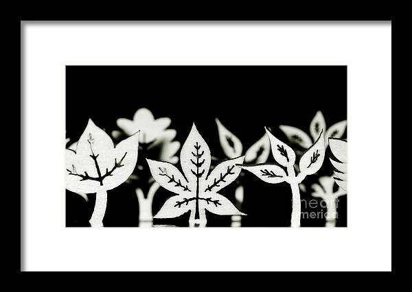 Leaf Framed Print featuring the photograph Wooden leaf shapes in black and white by Simon Bratt