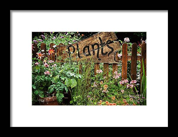 Plants Framed Print featuring the photograph Wooden plant sign in flowers by Simon Bratt