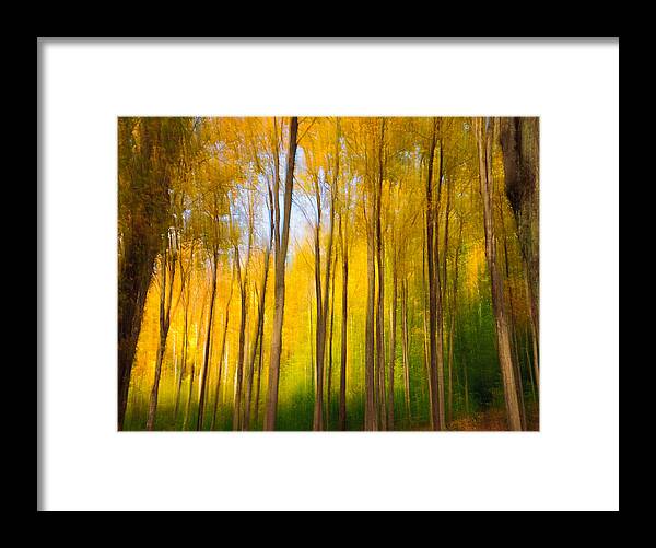 Landscape Framed Print featuring the photograph Woodland Impression by Fred LeBlanc