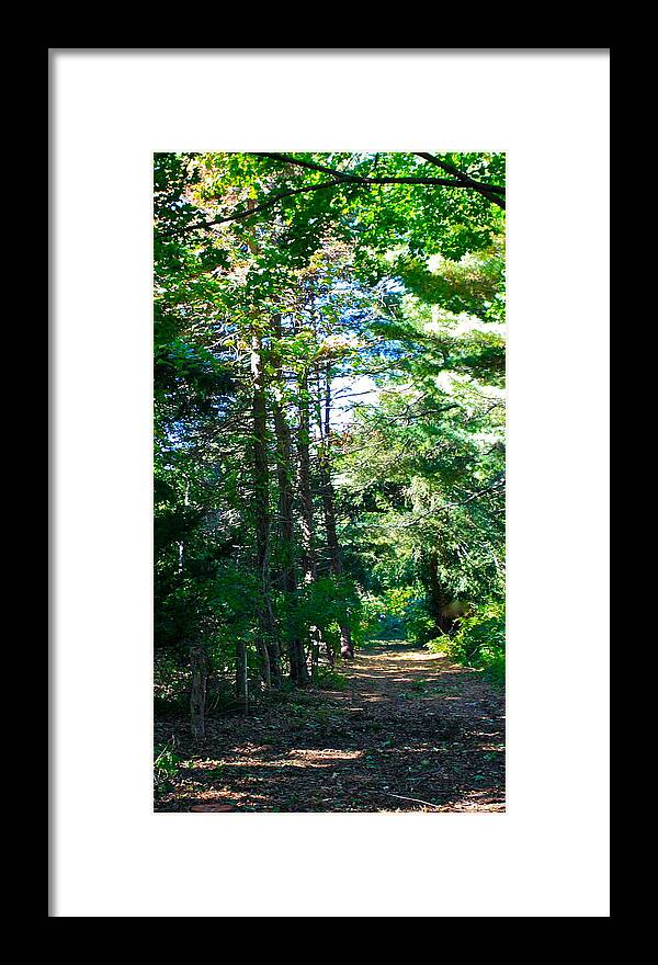 Woods Framed Print featuring the photograph Woodland Path by Susan Elise Shiebler