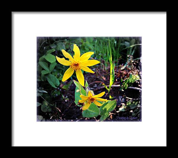 Flower Framed Print featuring the photograph Woods Flower by Deahn Benware
