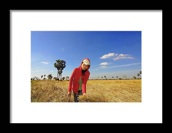 Ariksm-work Paddy Field Framed Print featuring the photograph Work by Arik S Mintorogo