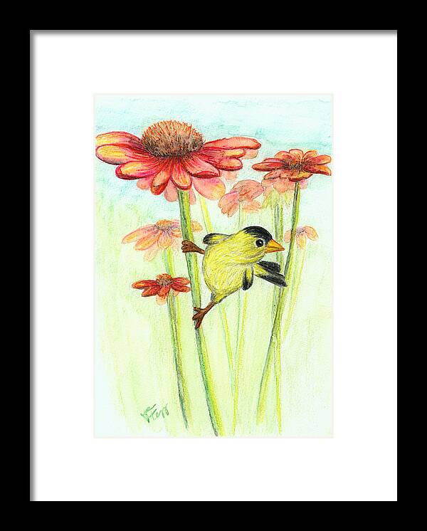 Bird Framed Print featuring the drawing Yellow finch by Tatiana Fess