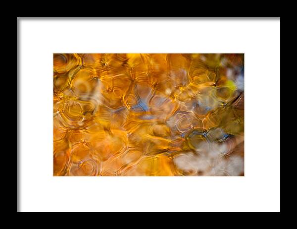 Abstract Framed Print featuring the photograph Yellow by Joye Ardyn Durham