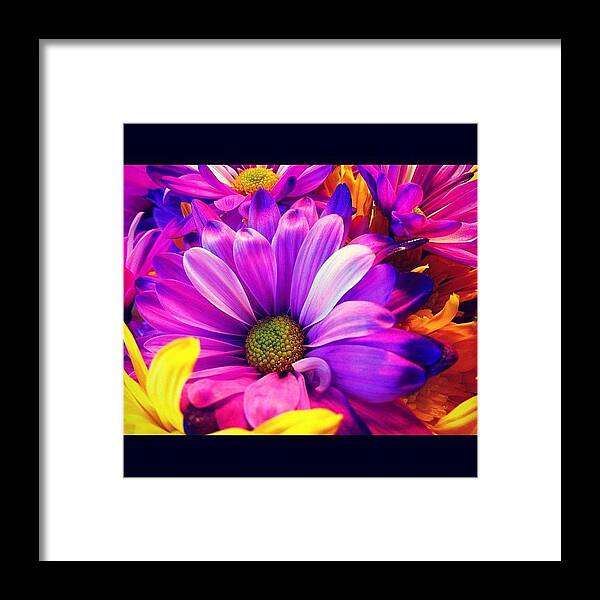 Potd Framed Print featuring the photograph #yellow #purple #nature #abstract by Jenni Munoz