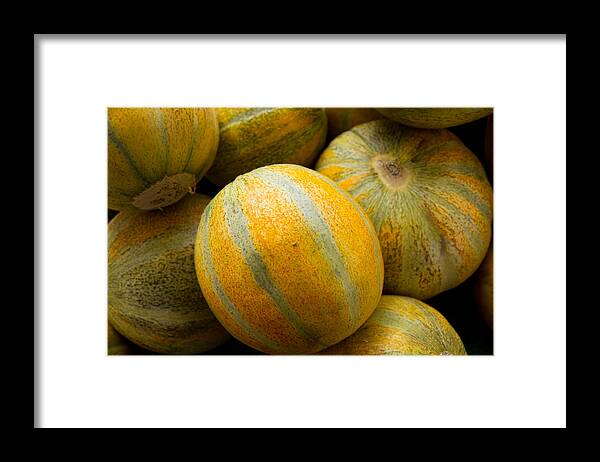 Melon Framed Print featuring the photograph Yellow Skinned Melon by Dina Calvarese
