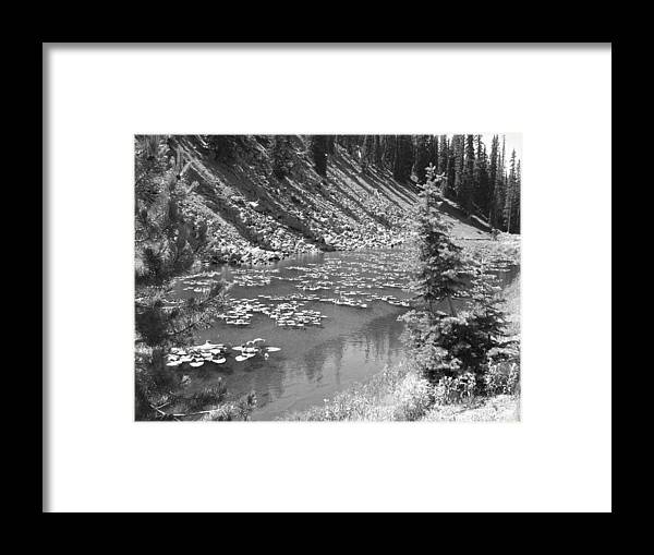 Even In Black And White Photography The Feeling Of Yellowstone Is Vibriant And Very Much Alive. Yellowstone National Park Framed Print featuring the photograph Yellowstone in Black and White by Shawn Hughes