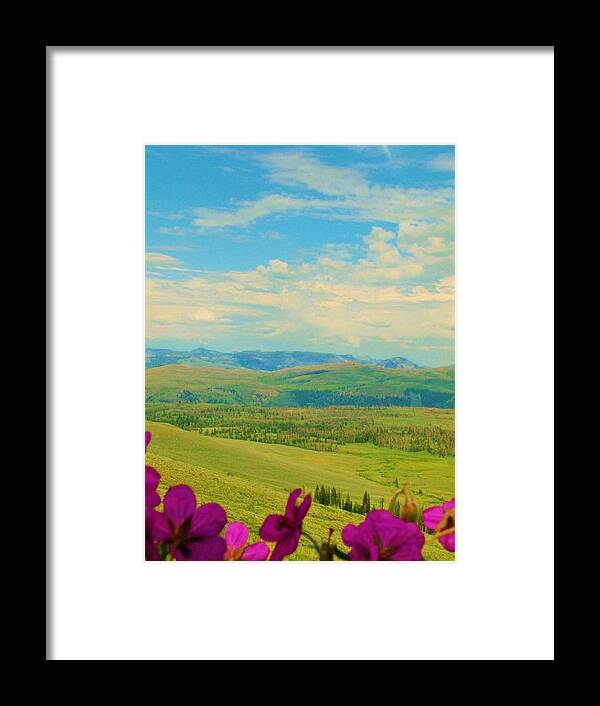 Yellowstone Park Framed Print featuring the photograph Yellowstone Valley by Virginia Lei Jimenez