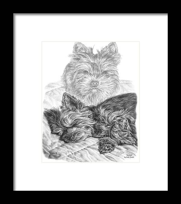 Yorkie Framed Print featuring the drawing Yorkie - Yorkshire Terrier Dog Print by Kelli Swan