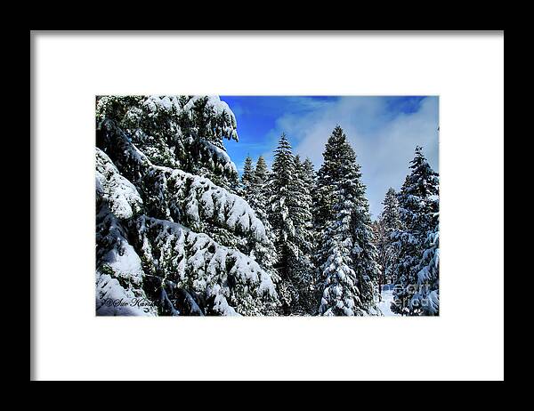 Snow Framed Print featuring the photograph Yosemite Snow by Sue Karski