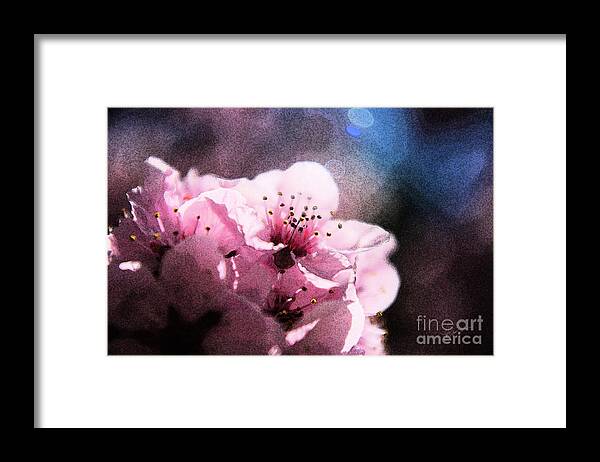 Photograph Framed Print featuring the photograph You Bright My Day by Vicki Pelham